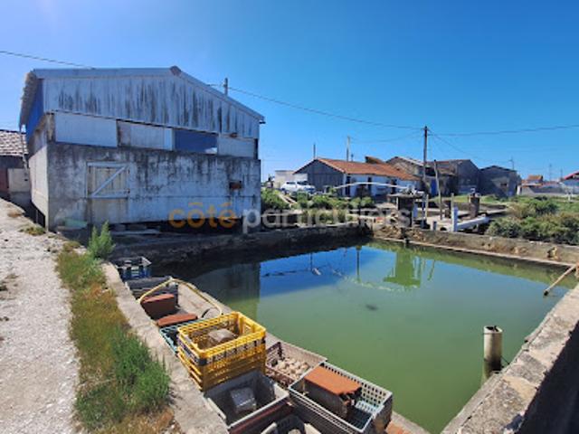 Vente Fond de commerce 2 pièces 2823 m2 La Tremblade