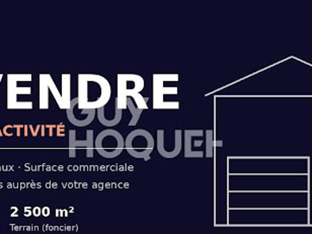 Vente Fond de commerce 390 m2 Dinan
