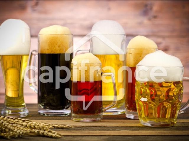 Vente Fond de commerce 8 pièces 300 m2 Lourdes