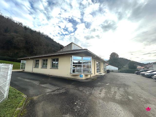 Vente Fond de commerce 323 m2 Vienne