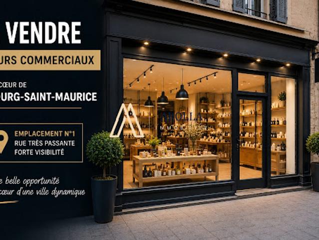 Vente Fond de commerce 3 pièces 78 m2 Bourg Saint Maurice