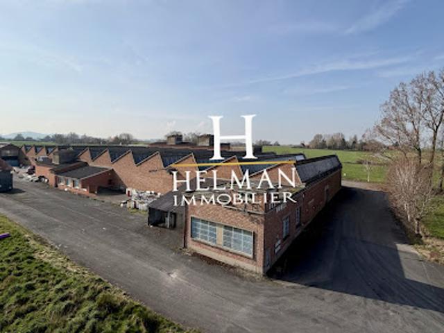 Vente Autre 0 pièces 6000 m2 Steenvoorde