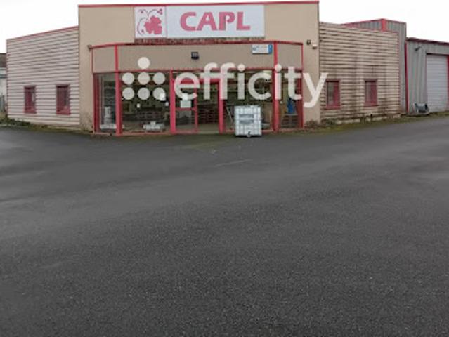 Vente Fond de commerce 600 m2 Bourgueil