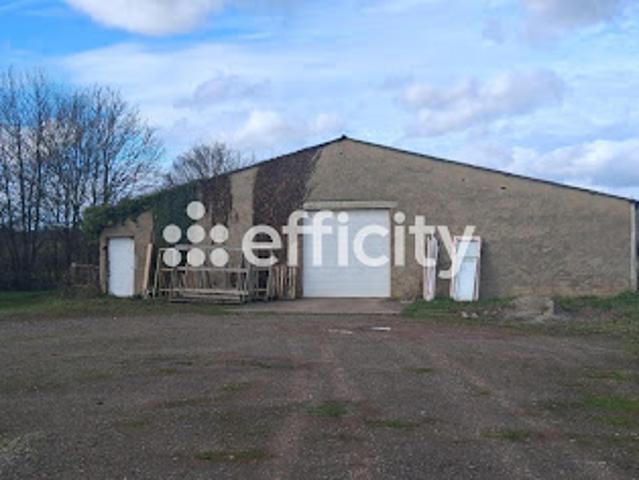 Vente Fond de commerce 600 m2 Lonrai