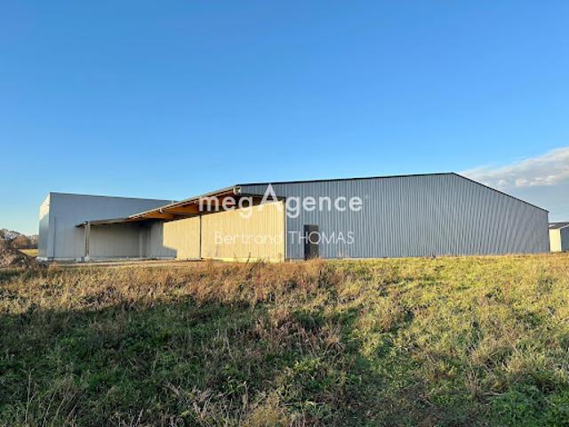 Vente Fond de commerce 7 pièces 1800 m2 Romagne