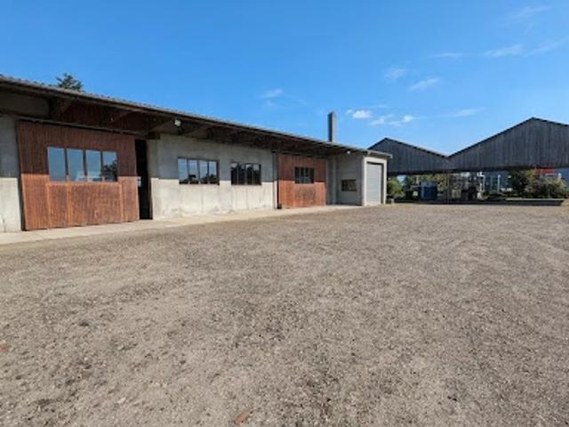 Vente Fond de commerce 840 m2 Kingersheim
