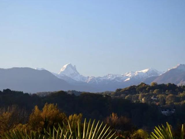 Vente Fond de commerce 96 m2 Pau
