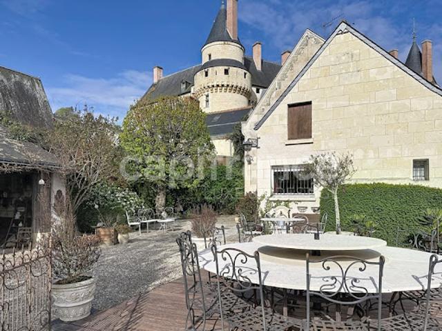 Vente Autre 9 pièces 420 m2 Langeais