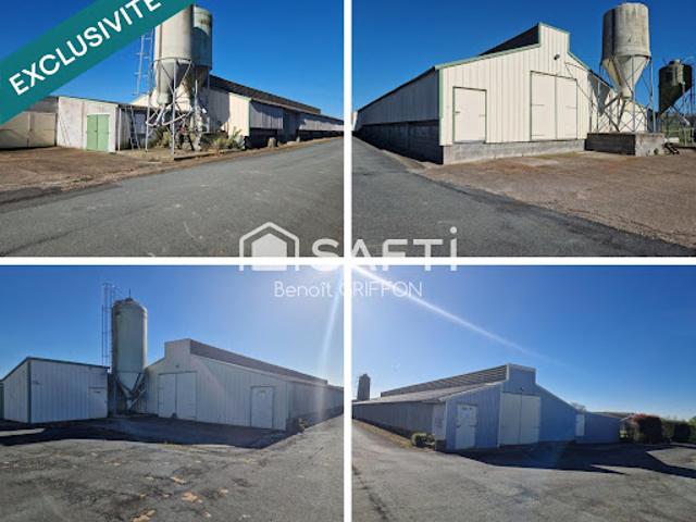 Vente Fond de commerce 9 pièces 4290 m2 Boussay