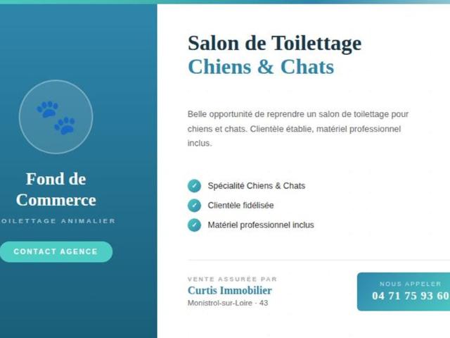 vente fonds de commerce monistrol sur loire