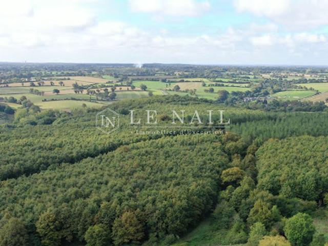 Vente Forêt 491988 m2 Houssay
