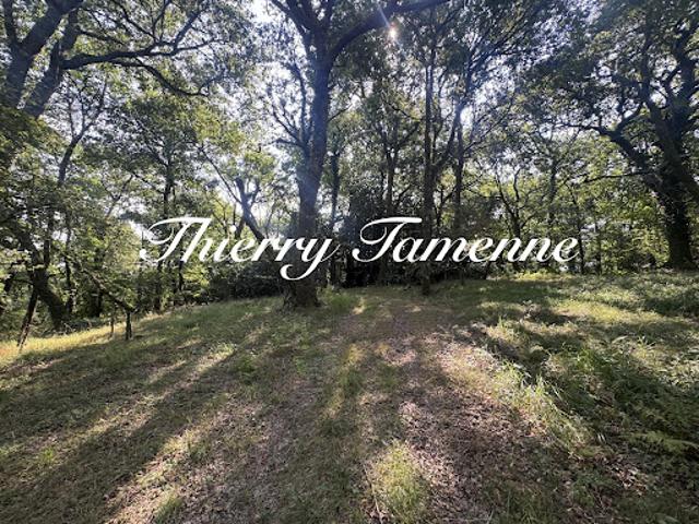 Vente Forêt 0 m2 Bérenx