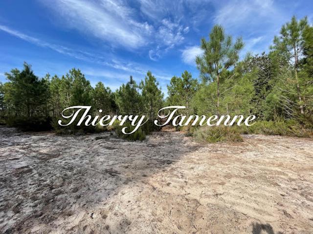 Vente Forêt 0 m2 Réaup Lisse