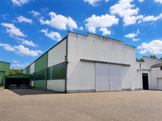 Vente hall industriel Sarreguemines Neufgrange proche Sarrebruck