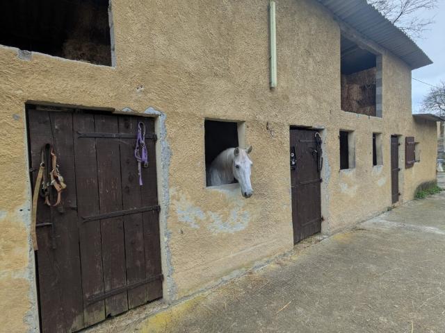 Vente Haras 5 pièces