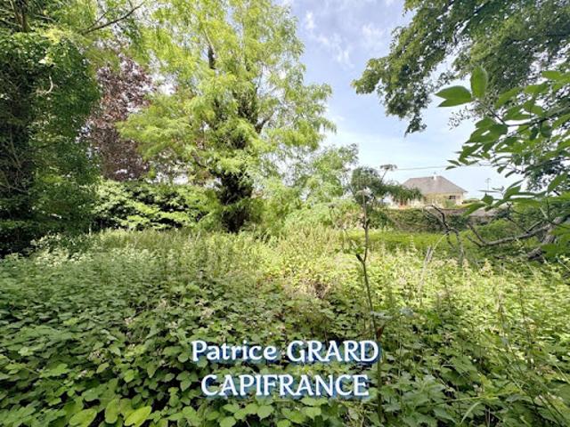 Vente Hôtel particulier 40 pièces 1070 m2 Saint Pierre Eglise