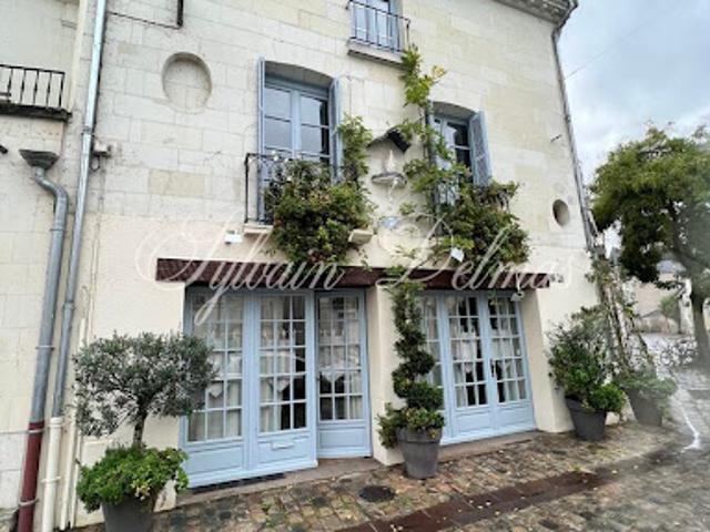 Vente Hôtel particulier 8 pièces 250 m2 Tours