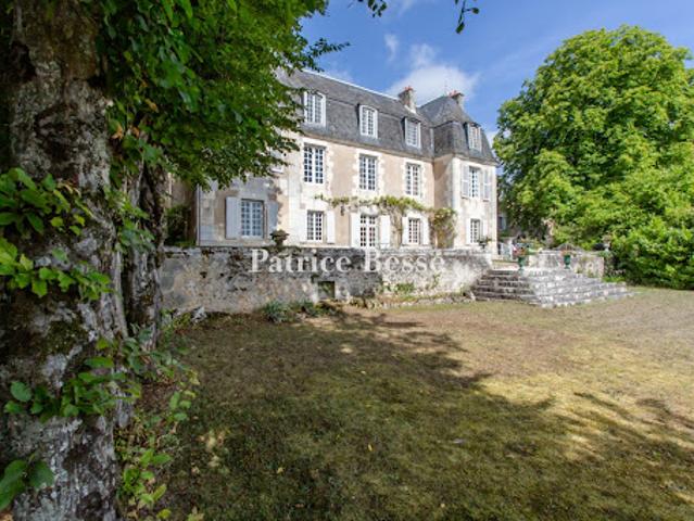 Vente Hôtel particulier 11 pièces 500 m2 Poitiers