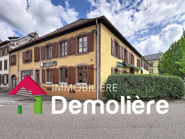 Vente Immeuble 482 m2 Saales