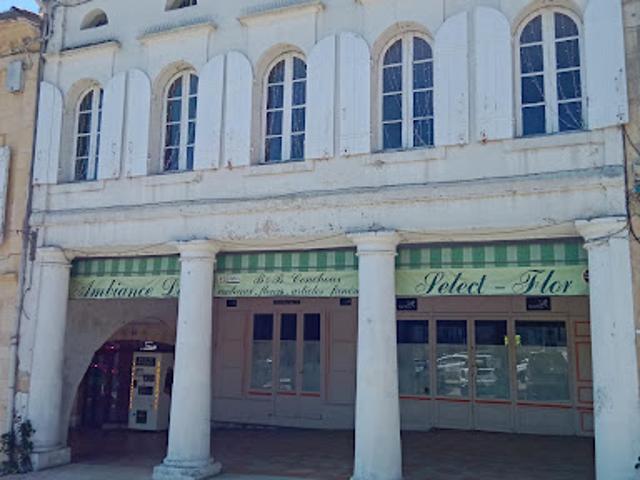 Vente Immeuble 613 m2 Sauveterre de Guyenne
