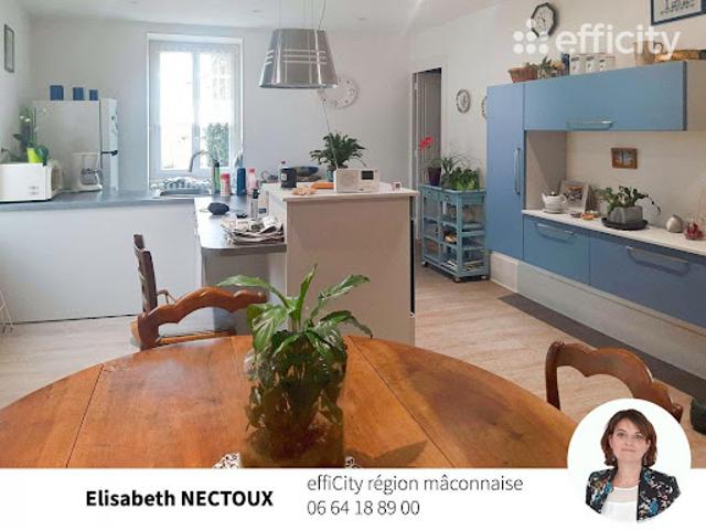 Vente Immeuble 6 pièces 174 m2 Macon