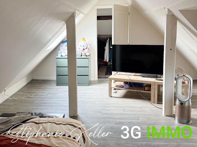 Vente Immeuble 7 pièces 132.8 m2 Selestat