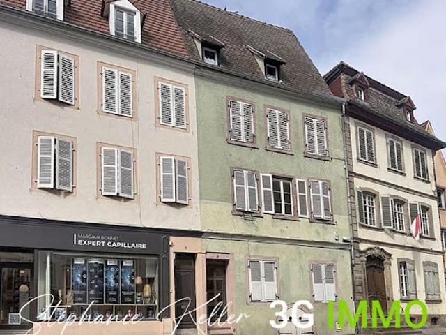 Vente Immeuble 7 pièces 166.16 m2 Selestat