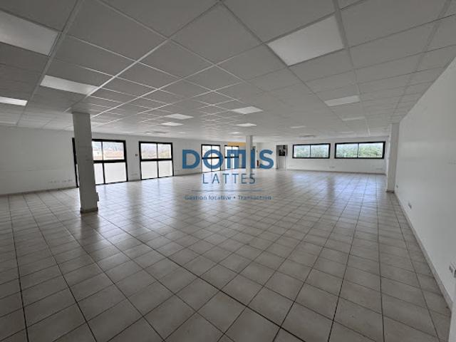 Vente Immeuble 0 pièces 800 m2 Lattes