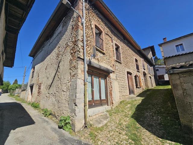 Vente Immeuble 8 pièces 219 m2 Roybon