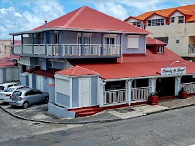 Vente Immeuble 0 pièces 508 m2 Saint Martin