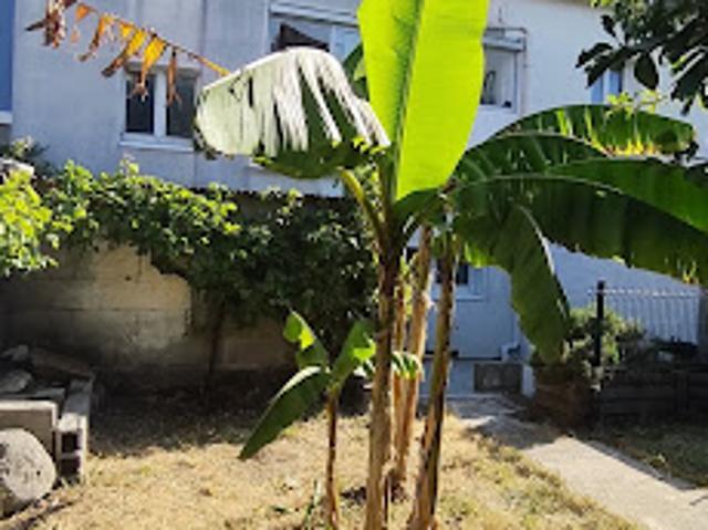 Vente Immeuble 0 pièces 161 m2 Lorient