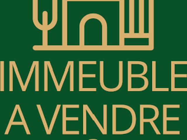 Vente Immeuble 0 pièces 195.65 m2 Reims