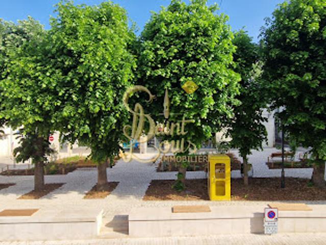 Vente Immeuble 0 pièces 196 m2 Chinon