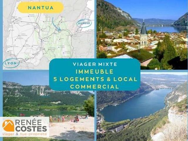 Vente Immeuble 10 pièces 250 m2 Nantua