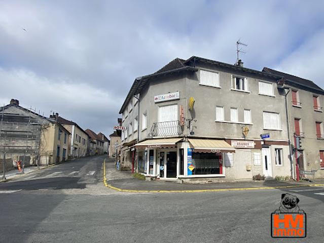 Vente Immeuble 10 pièces 300 m2 Ladignac le Long