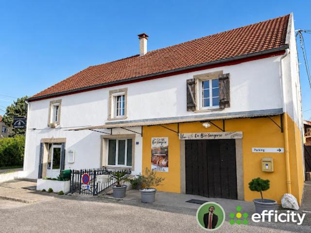 Vente Immeuble 10 pièces 532 m2 Asnans Beauvoisin