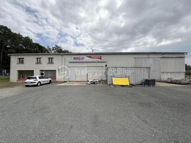 Vente Immeuble 10 pièces 660 m2 Ecommoy