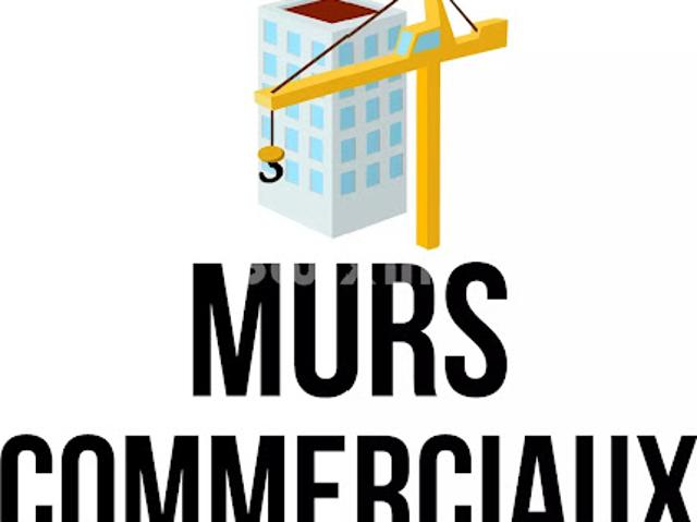 Vente Immeuble 11 pièces 91 m2 Dole