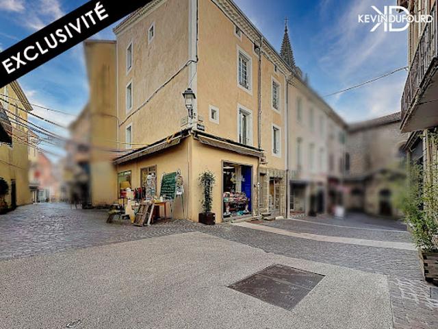 Vente Immeuble 12 pièces 250 m2 Aubenas