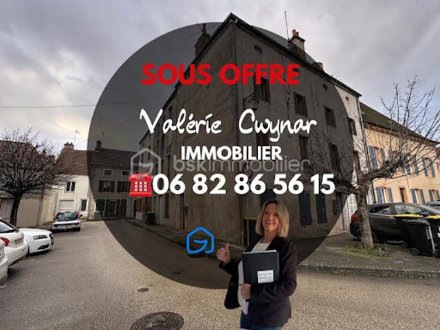 Vente Immeuble 12 pièces 318 m2 Saint Jean de Losne