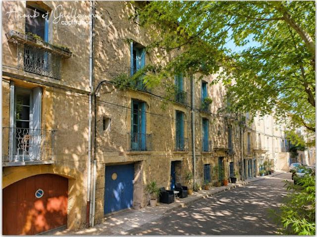 Vente Immeuble 16 pièces 360 m2 Pezenas