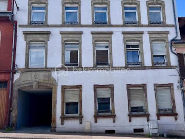 Vente Immeuble 20 pièces 400 m2 Sarreguemines
