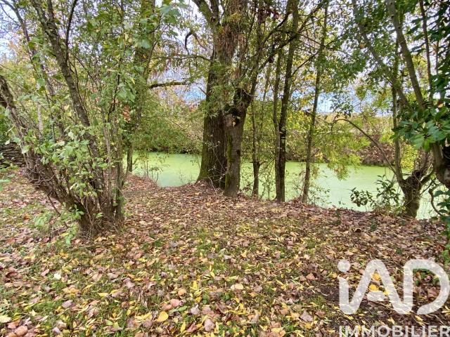 Vente Immeuble 216 m²