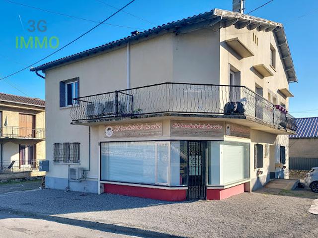 Vente Immeuble 223 m2 Saint Gaudens