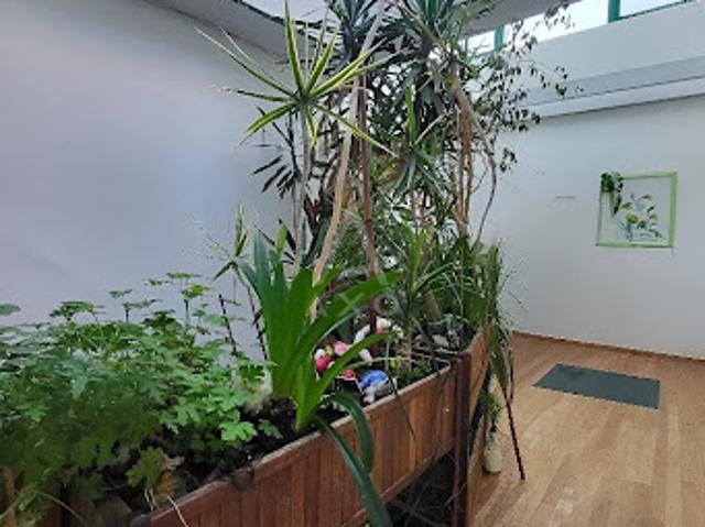 Vente Immeuble 0 pièces 241 m2 Douai