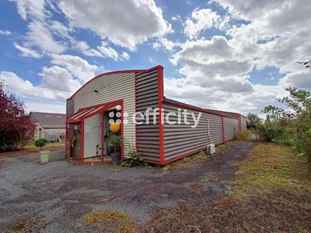 Vente Immeuble 300 m2 Bourgueil