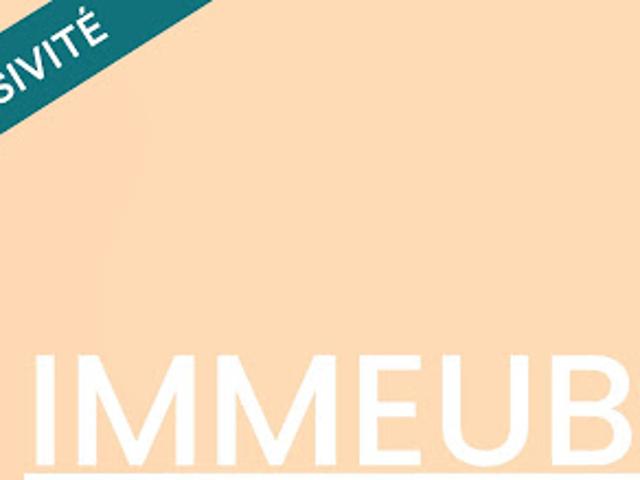 Vente Immeuble 305 m2 La Vendelée