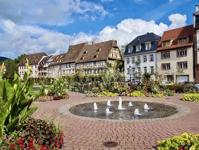 Vente Immeuble 314 m2 Wissembourg