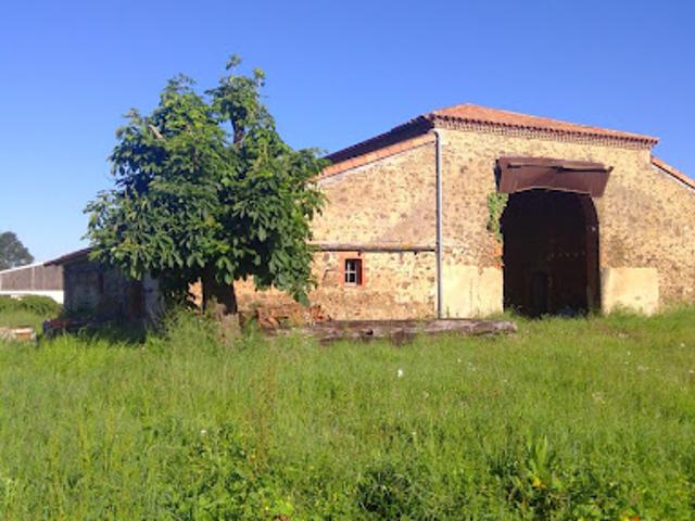 Vente Immeuble 320 m2 Maulévrier