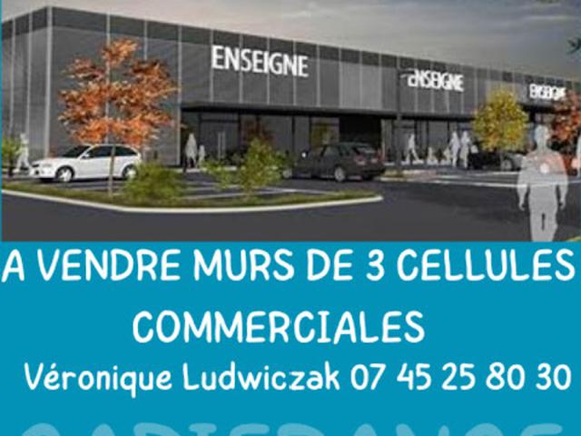 Vente Immeuble 3 pièces 227 m2 Montigny en Ostrevent